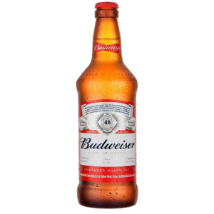 CERVEJA PREMIUM LN 330ML BUDWEISER